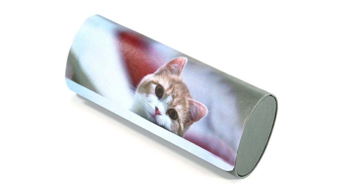 Фото очков 360° 4