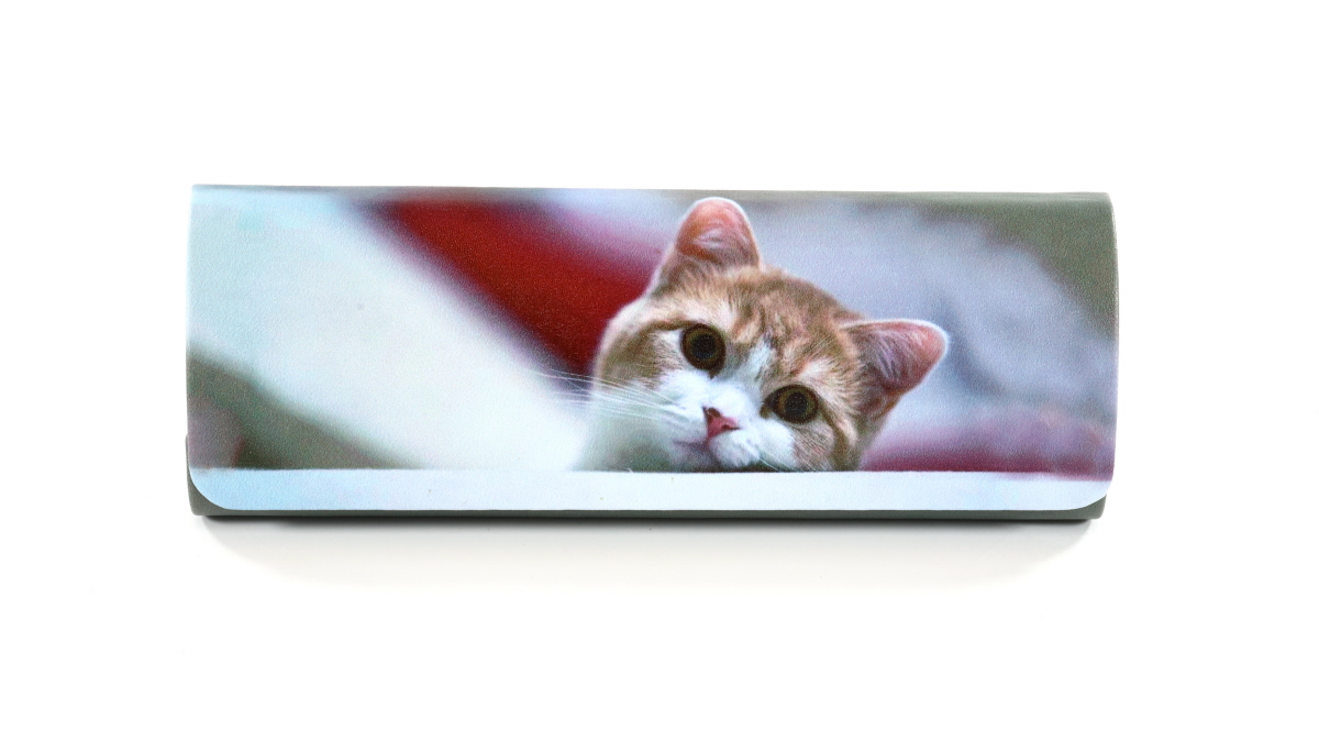 Фото очков 360° 7