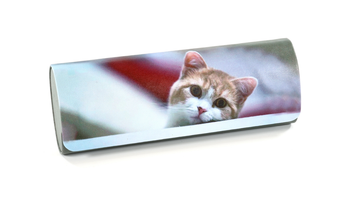 Фото очков 360° 8