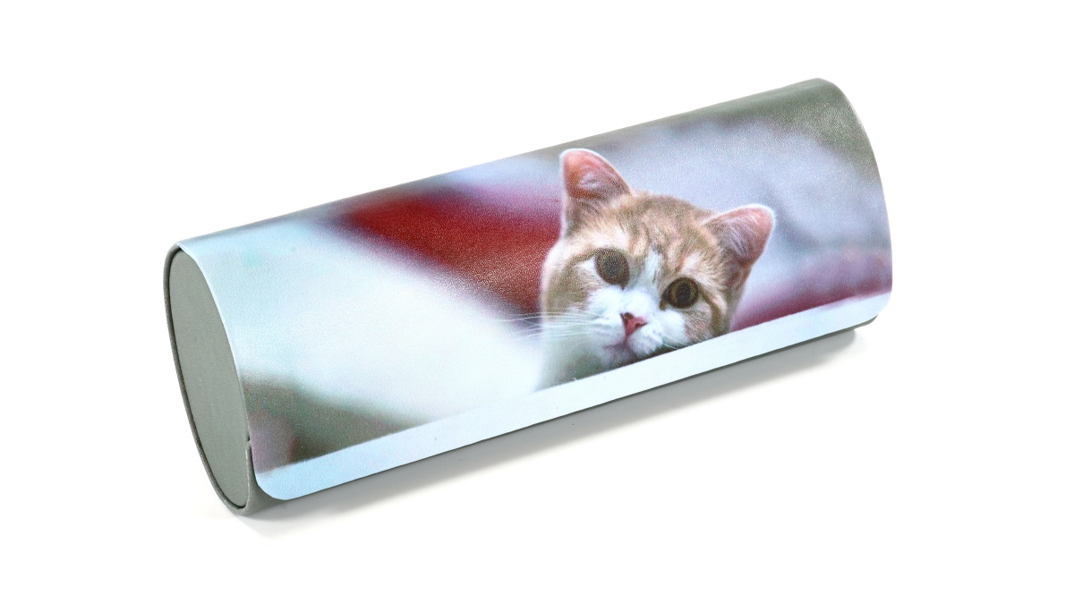 Фото очков 360° 9